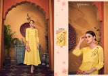 Subh Anka Viscose Work Kurtis Catalog Collection