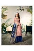 Amirah Banaras Vol-2 Hit List Plazzo Salwar Kameez Catalog Collection