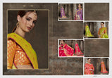 Ynf Sheena Silk Pure Silk Festive Wear Designers Saree Catalog Collection
