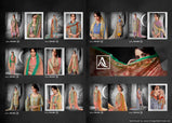 Alok Ishani Cambric Cotton Dress Material Catalog Collection