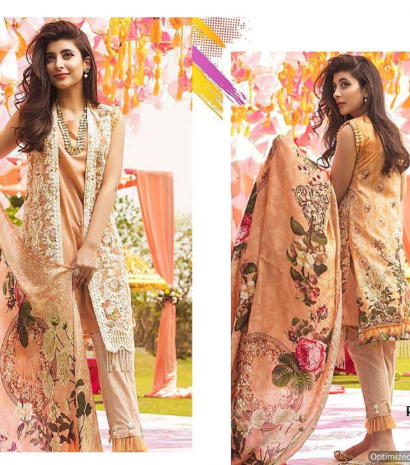 Shree Rang Rasiya Premium pakistani Readymade suits collection