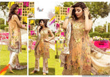 Shree Rang Rasiya Premium pakistani Readymade suits collection