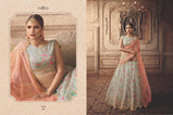 Maisha Vivaana Remix Designer Net Lehenga Choli Catalog