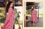 Fiona Taniya Designer Straight Salwar Kameez Catalog Collection