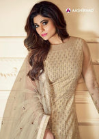 Aashirwad Creation Traditional Net Fabrics Gowns Catalog