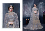 Zikkra Vol-14 Net Fabric Party Wear Lehenga Choli Catalog