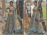 Peafowl Vol-58 Butterfly Net Party Wear Lehenga Choli Catalog