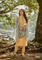 Bela Fashion Jashan Vol-2 Straight Salwar Kameez Catalog